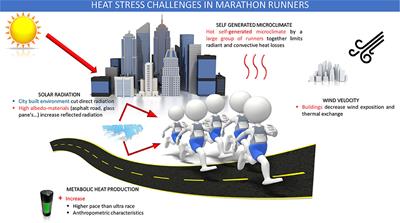 Heat Stress Challenges in Marathon vs. Ultra-Endurance Running